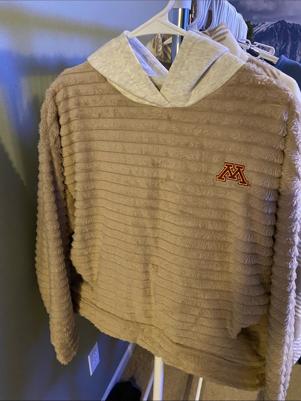 University of Minnesota Cozy Fleece Hoodie - Taupe